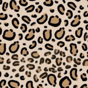 Meet your Posher, Savannah